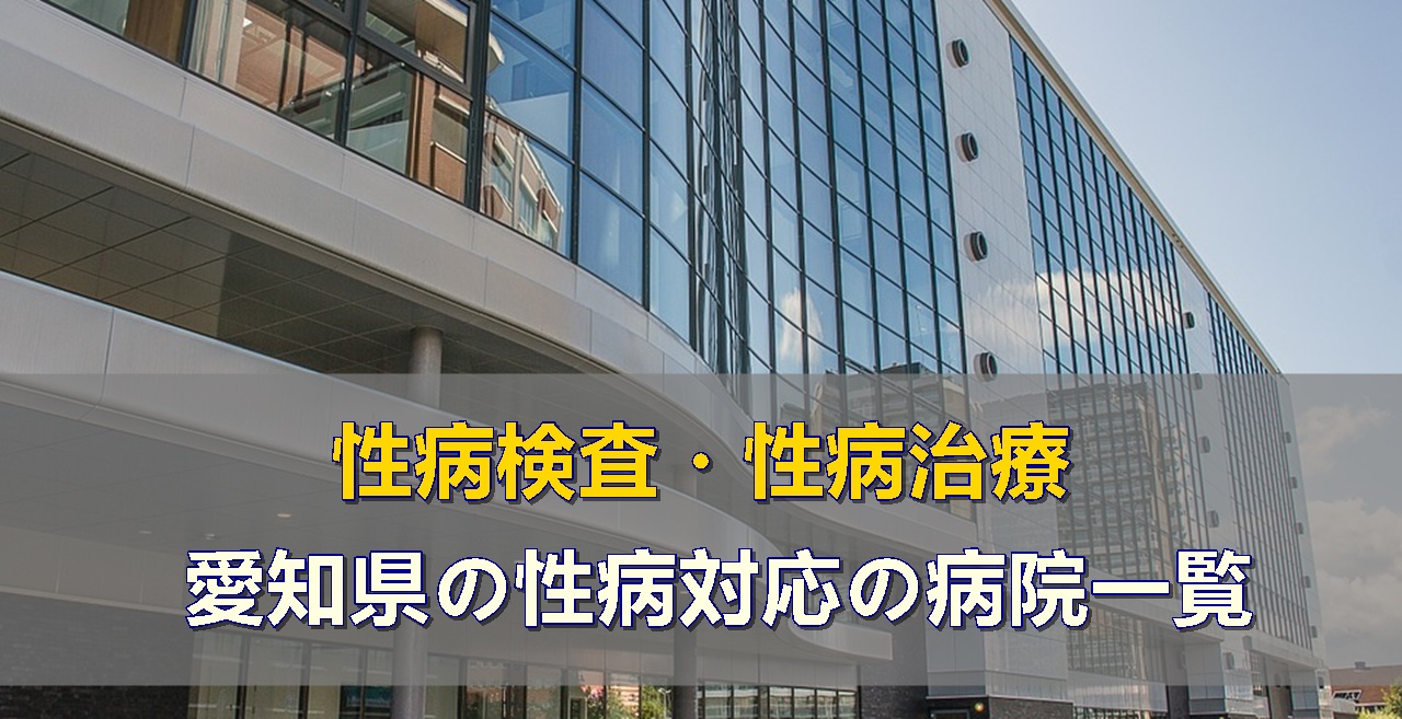 愛知県で性病検査・性病治療ができる性病科・泌尿器科・婦人科がある病院一覧